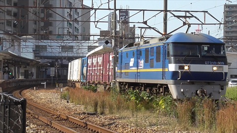 EF2110-309